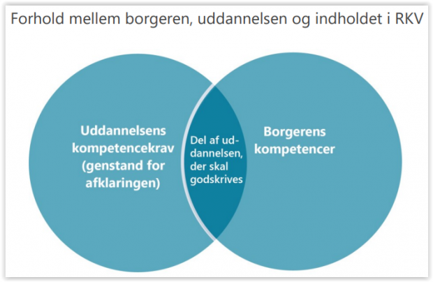 Realkompetencevurdering For Ledige. Ny Vejledning Til Fagprofessionelle ...