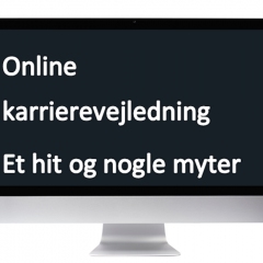 online karrierevejledning