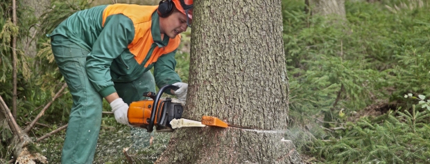 amu i skov- og naturforvaltning og naturformidling