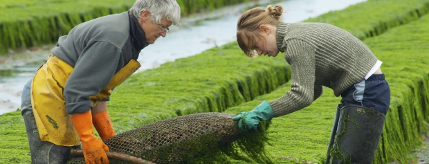 kandidatuddannelse i Naturressourcer og udvikling